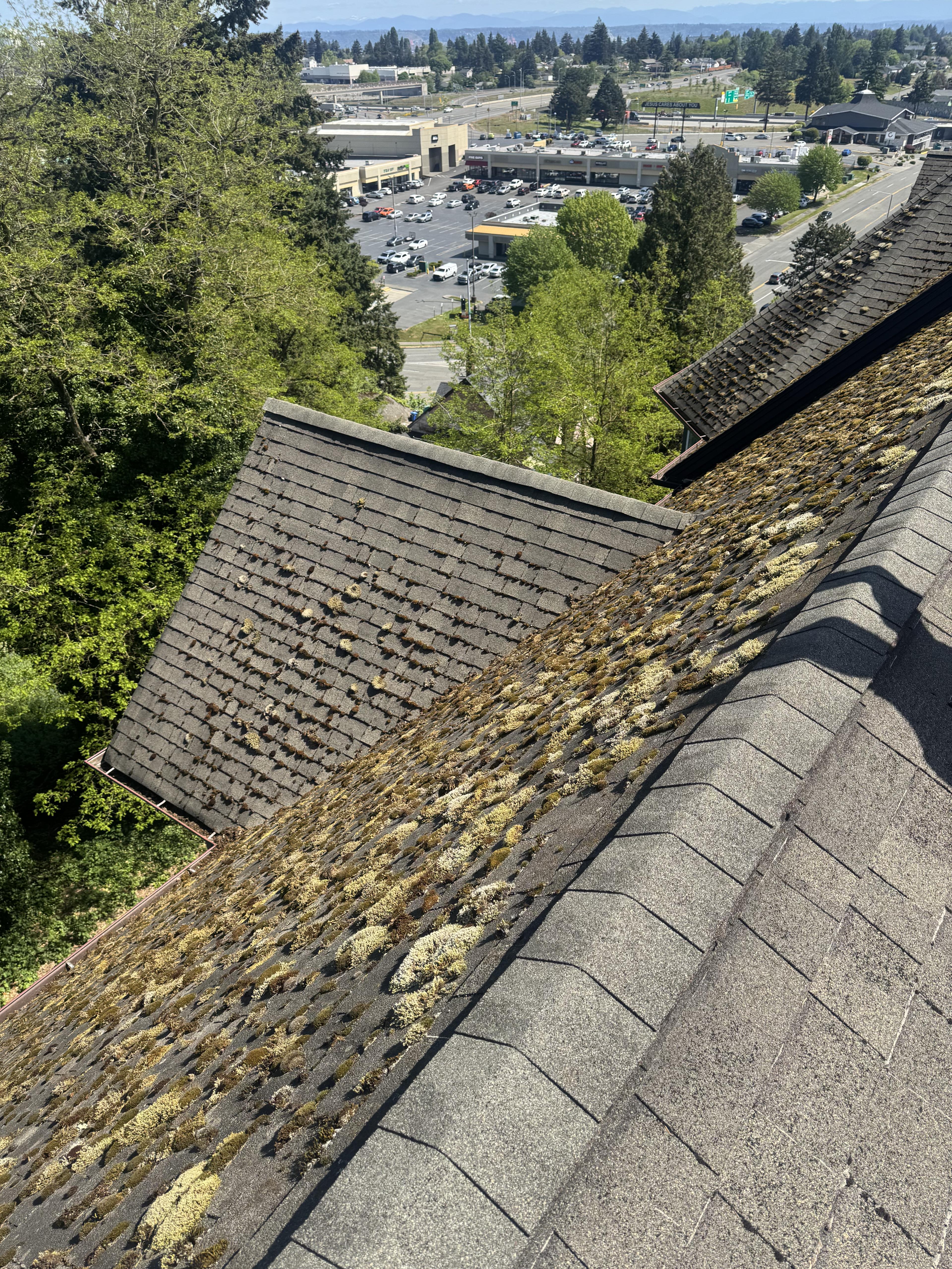 Neglected commercial roof with heavy moss and standing water damage in Snohomish County Washington