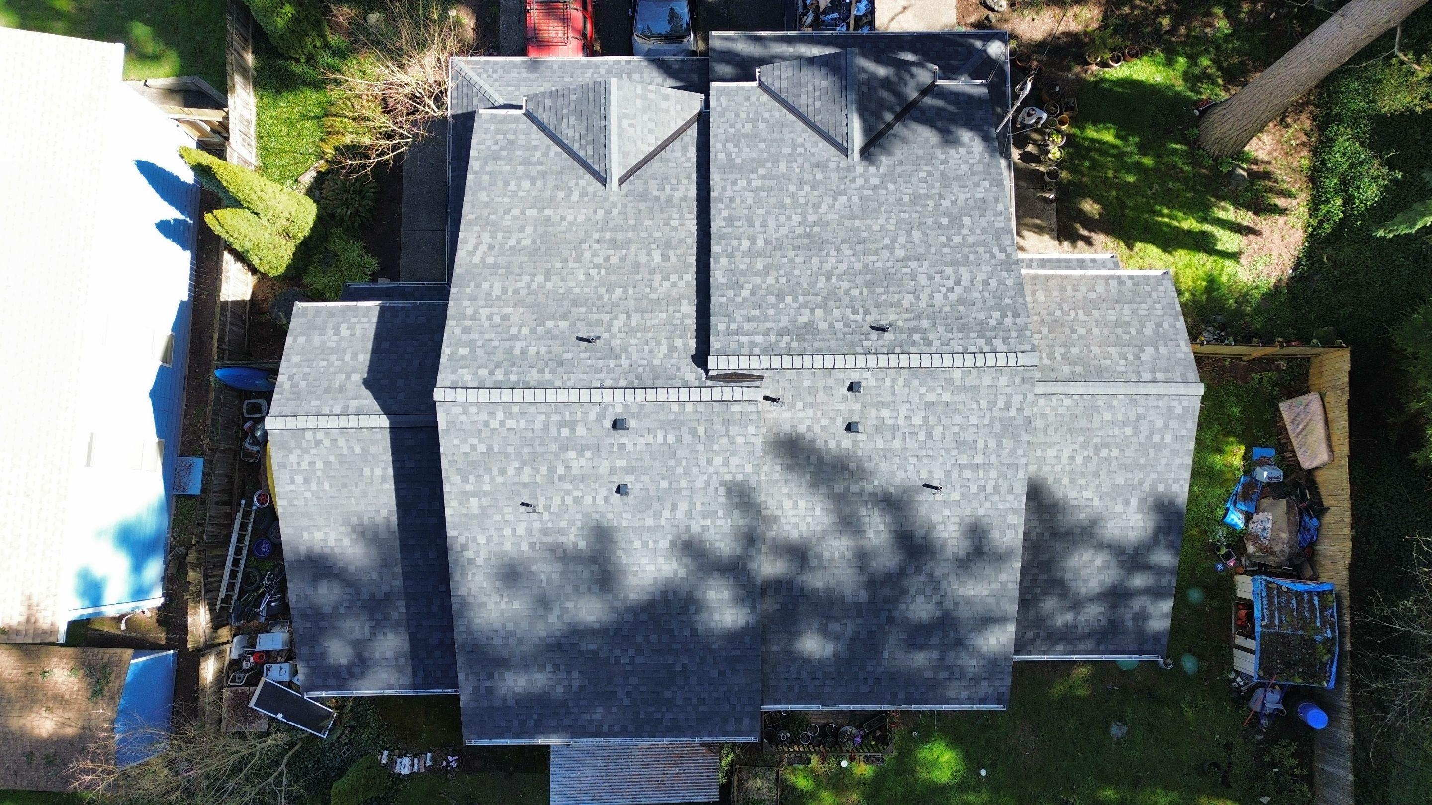 Professional roof cleaning service in King County and Snohomish County Washington