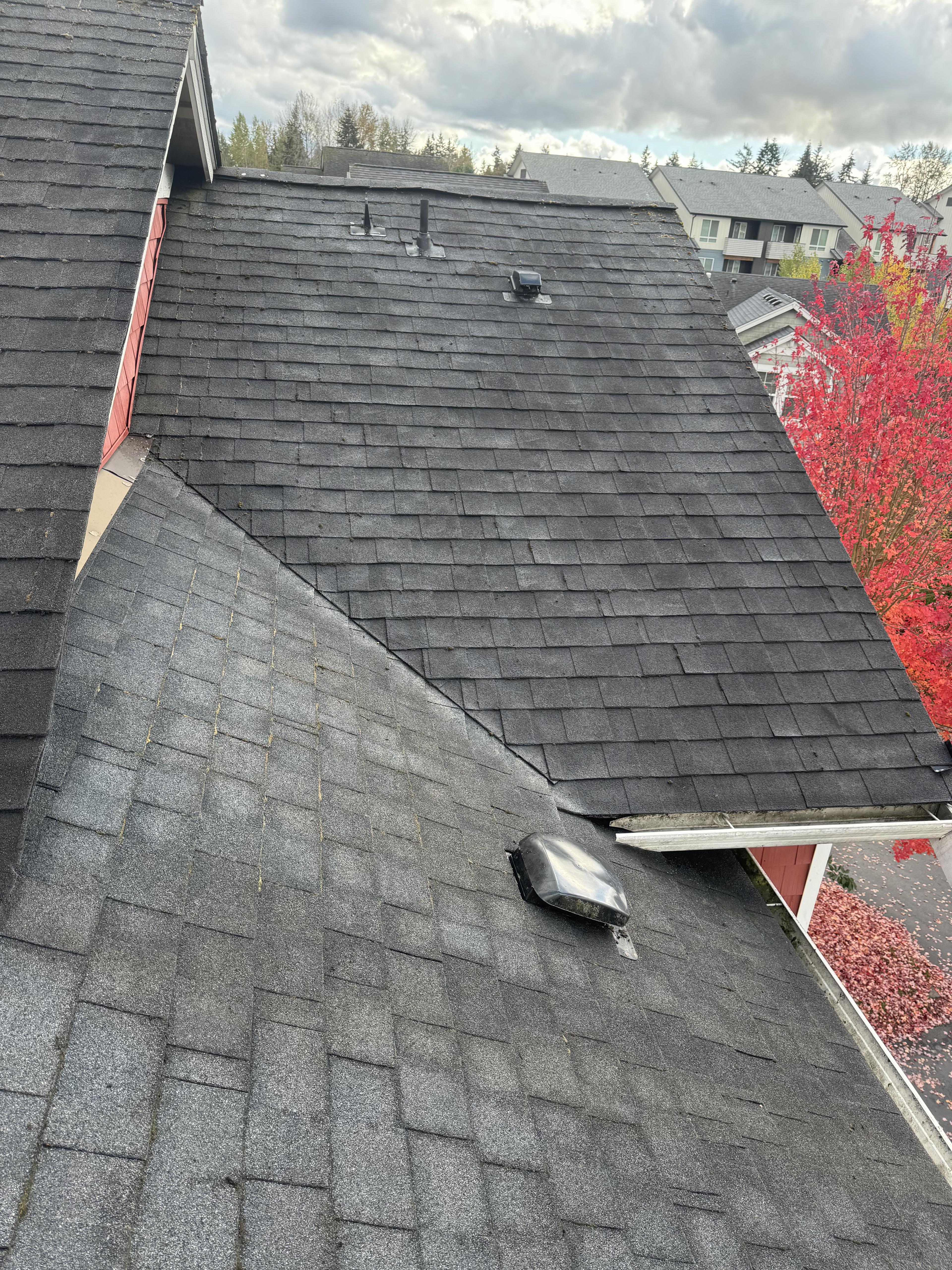Visible moss growth and dark streaks on a residential roof in Kirkland Washington needing professional cleaning